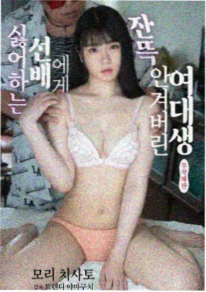 城市漫游者图文企划封面